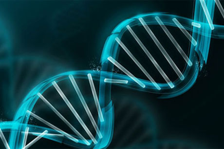 Yeni Bir Meslek Dal Geliyor: Genom Koluu