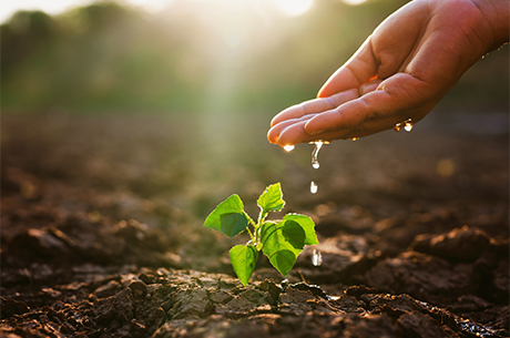 TEMA Vakf: Toprak Yoksa Su, Su Yoksa Gda Yok!