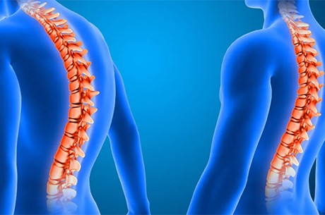 V�cutta En H�zl� Ya�lanan Organ Omurga